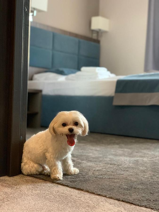 Hotel Sleep ורוצלב מראה חיצוני תמונה